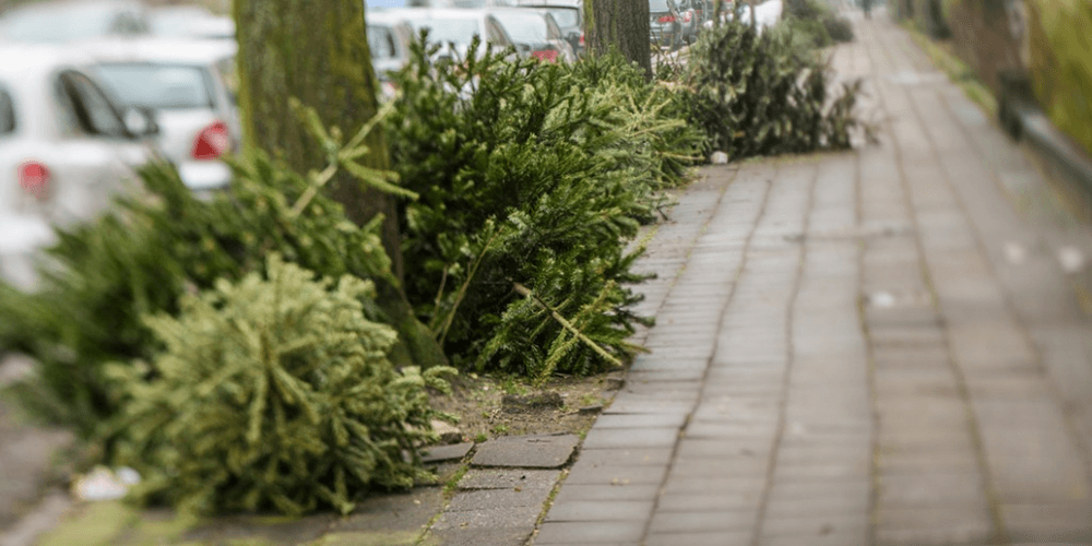 kerstboom ophalen afval scheiden Nijkerk